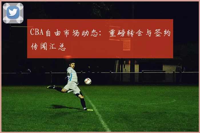 CBA自由市场动态:重磅转会与签约传闻汇总