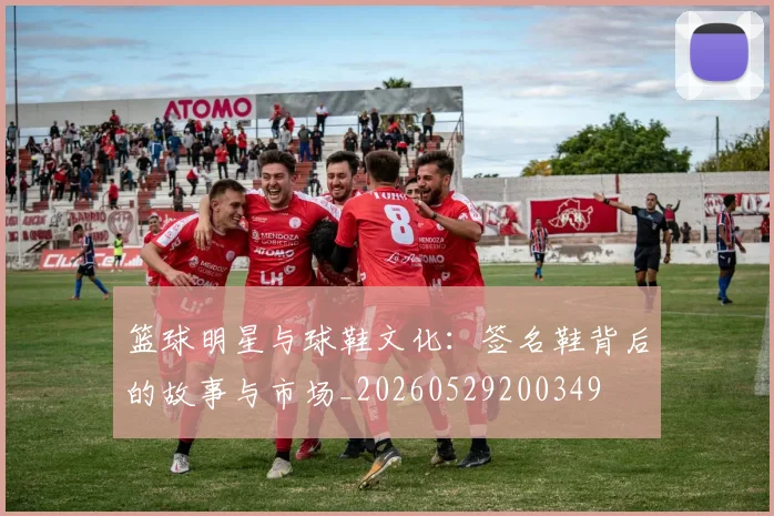 篮球明星与球鞋文化：签名鞋背后的故事与市场_20260529200349